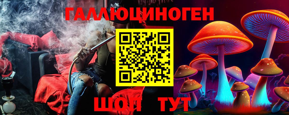 Псилоцибиновые грибы GOLDEN TEACHER Ишимбай